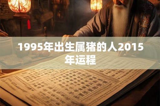 1995年出生属猪的人2015年运程