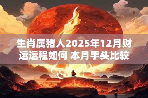 生肖属猪人2025年12月财运运程如何 本月手头比较富余