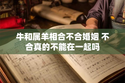 牛和属羊相合不合婚姻 不合真的不能在一起吗