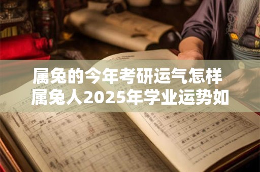 属兔的今年考研运气怎样 属兔人2025年学业运势如何