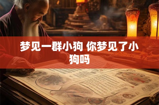 梦见一群小狗 你梦见了小狗吗