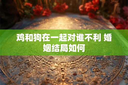 鸡和狗在一起对谁不利 婚姻结局如何