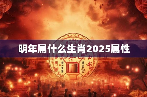 明年属什么生肖2025属性 明年属什么生肖2025属性