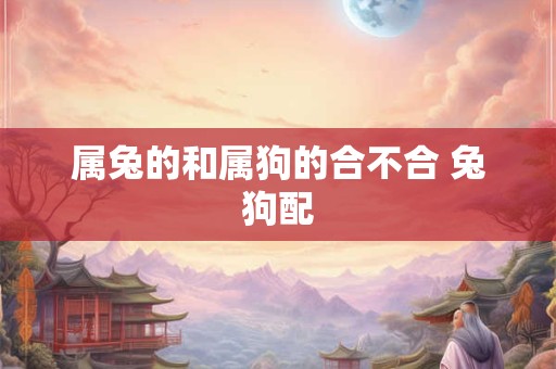 属兔的和属狗的合不合 兔狗配