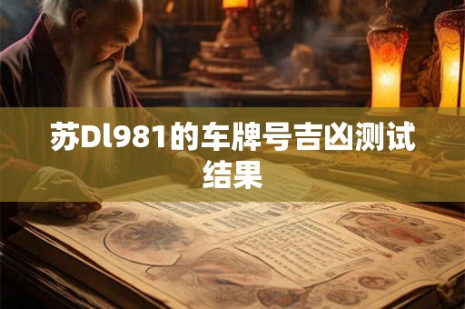 苏Dl981的车牌号吉凶测试结果