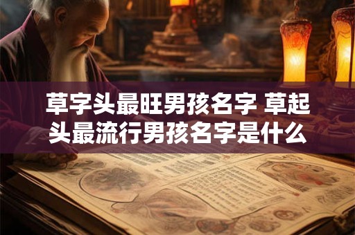 草字头最旺男孩名字 草起头最流行男孩名字是什么