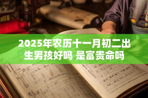 2026年农历十一月初二出生男孩好吗 是富贵命吗