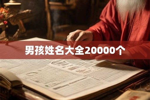 男孩姓名大全20000个