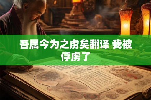 吾属今为之虏矣翻译 我被俘虏了