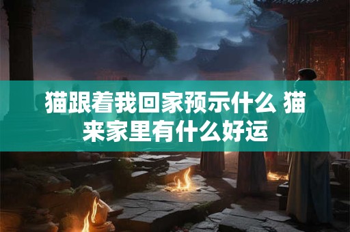 猫跟着我回家预示什么 猫来家里有什么好运