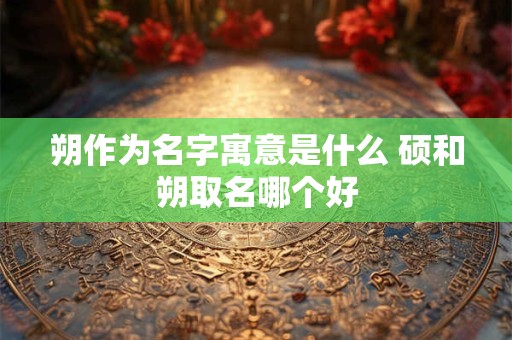 朔作为名字寓意是什么 硕和朔取名哪个好