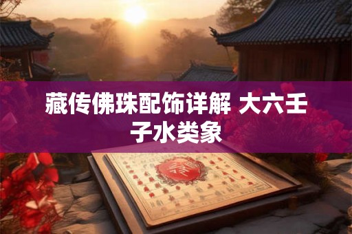 藏传佛珠配饰详解 大六壬子水类象