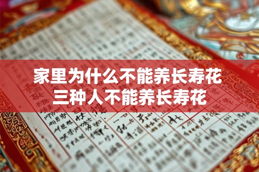 家里为什么不能养长寿花 三种人不能养长寿花