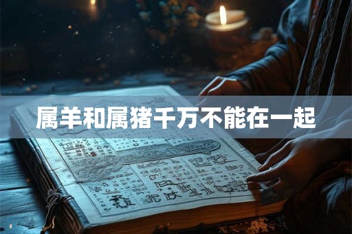 属羊和属猪千万不能在一起