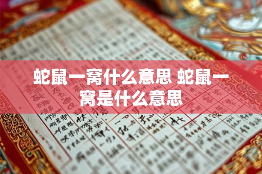 蛇鼠一窝什么意思 蛇鼠一窝是什么意思
