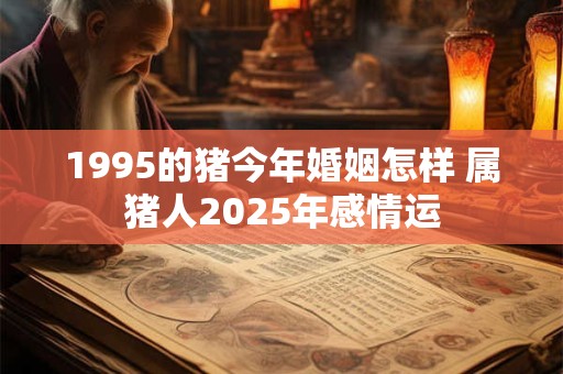 1995的猪今年婚姻怎样 属猪人2025年感情运
