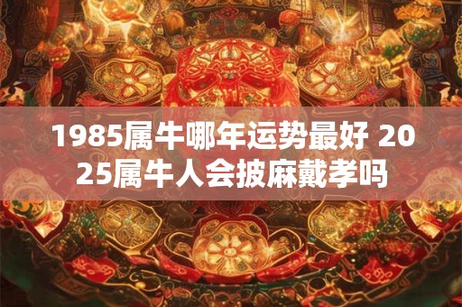 1985属牛哪年运势最好 2025属牛人会披麻戴孝吗
