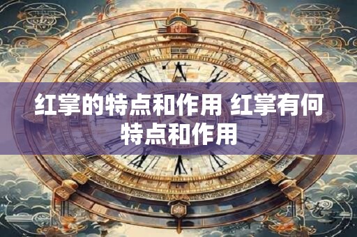 红掌的特点和作用 红掌有何特点和作用