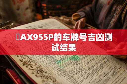 陜AX955P的车牌号吉凶测试结果