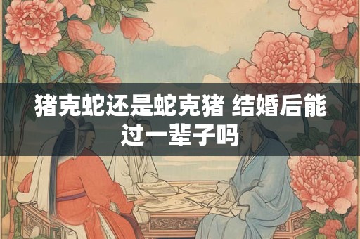 猪克蛇还是蛇克猪 结婚后能过一辈子吗