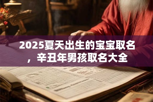 2025夏天出生的宝宝取名,辛丑年男孩取名大全 2025夏天出生的宝宝取名,辛丑年男孩取名大全