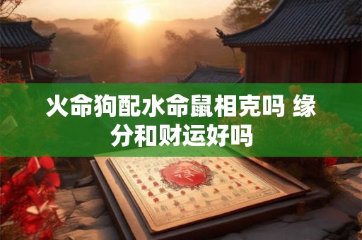 火命狗配水命鼠相克吗 缘分和财运好吗