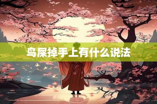 鸟屎掉手上有什么说法