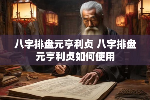 八字排盘元亨利贞 八字排盘元亨利贞如何使用