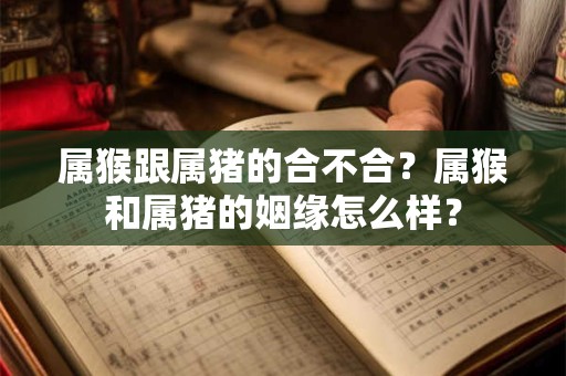 属猴跟属猪的合不合？属猴和属猪的姻缘怎么样？