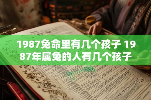 1987兔命里有几个孩子 1987年属兔的人有几个孩子