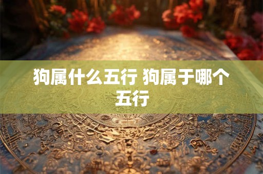 狗属什么五行 狗属于哪个五行