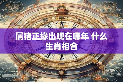 属猪正缘出现在哪年 什么生肖相合
