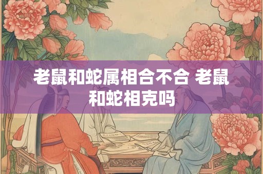 老鼠和蛇属相合不合 老鼠和蛇相克吗 老鼠和蛇属相合不合 老鼠和蛇相克吗