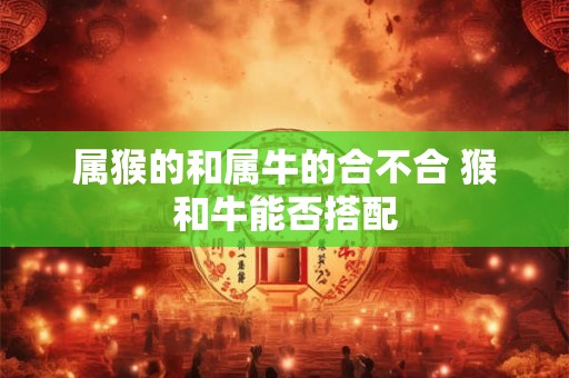 属猴的和属牛的合不合 猴和牛能否搭配