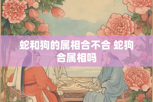 蛇和狗的属相合不合 蛇狗合属相吗