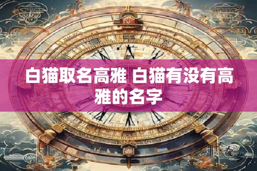白猫取名高雅 白猫有没有高雅的名字