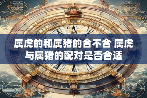 属虎的和属猪的合不合 属虎与属猪的配对是否合适
