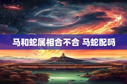 马和蛇属相合不合 马蛇配吗