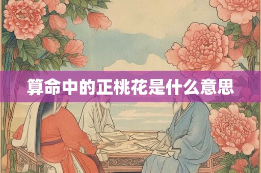 算命中的正桃花是什么意思