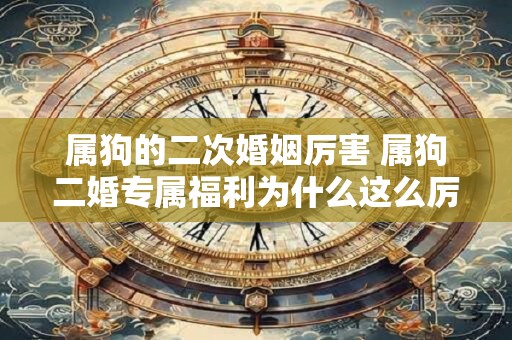 属狗的二次婚姻厉害 属狗二婚专属福利为什么这么厉害