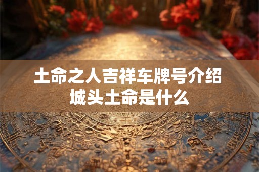 土命之人吉祥车牌号介绍 城头土命是什么