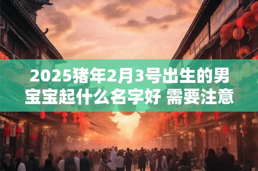 2025猪年2月3号出生的男宝宝起什么名字好 需要注意什么