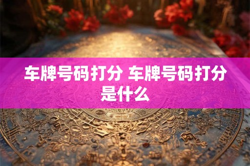 车牌号码打分 车牌号码打分是什么