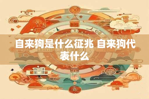 自来狗是什么征兆 自来狗代表什么
