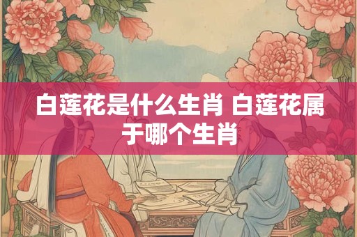 白莲花是什么生肖 白莲花属于哪个生肖