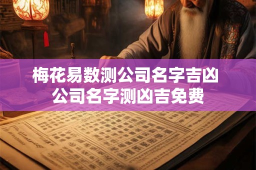 梅花易数测公司名字吉凶 公司名字测凶吉免费