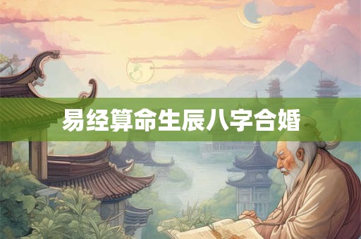 易经算命生辰八字合婚