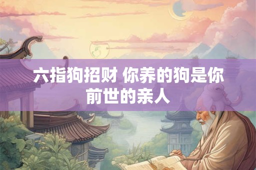 六指狗招财 你养的狗是你前世的亲人