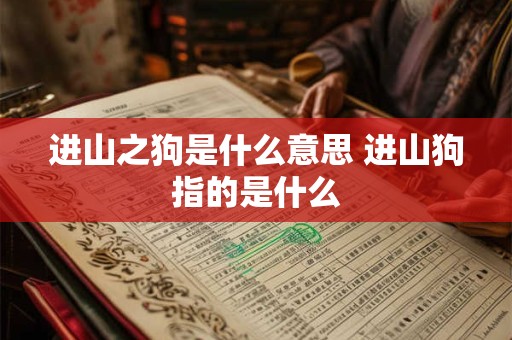 进山之狗是什么意思 进山狗指的是什么