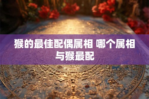 猴的最佳配偶属相 哪个属相与猴最配
